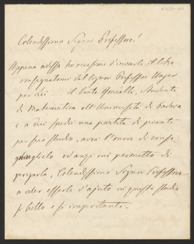 Anteprima dell'oggetto