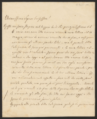 Anteprima dell'oggetto