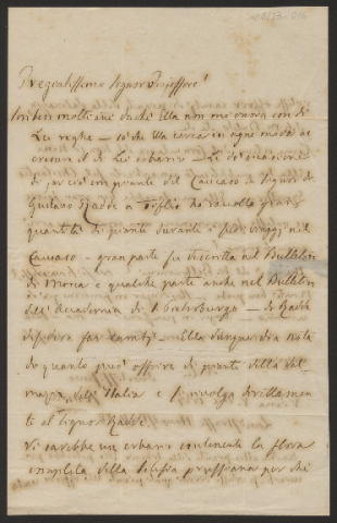 Anteprima dell'oggetto