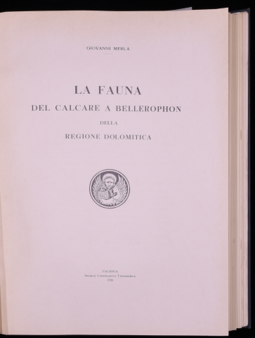 Anteprima dell'oggetto