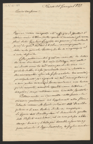 Anteprima dell'oggetto