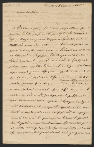 Anteprima dell'oggetto