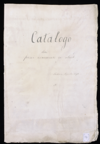 Anteprima dell'oggetto