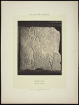 Planche XII. Génie ailé (Bas-relief assyrien)