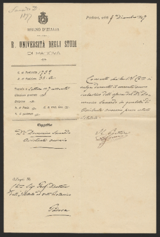 Anteprima dell'oggetto