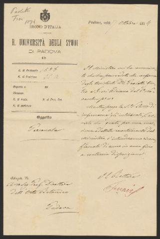 Anteprima dell'oggetto