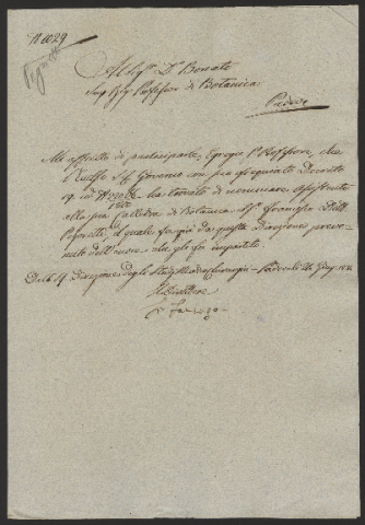 Anteprima dell'oggetto