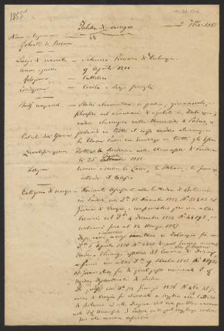 Anteprima dell'oggetto