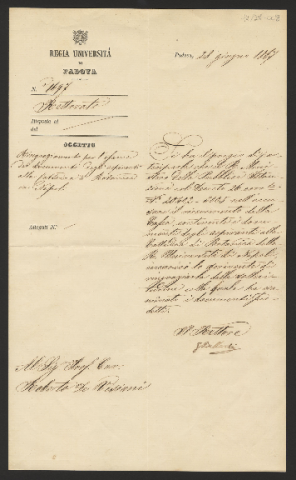 Anteprima dell'oggetto