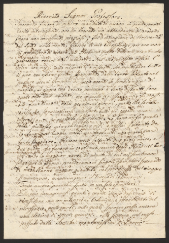 Anteprima dell'oggetto