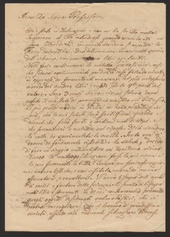 Anteprima dell'oggetto