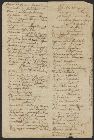 Anteprima dell'oggetto