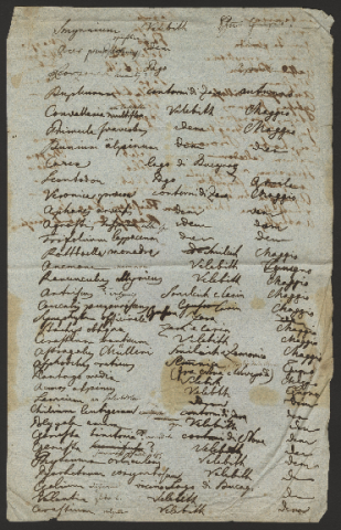 Anteprima dell'oggetto