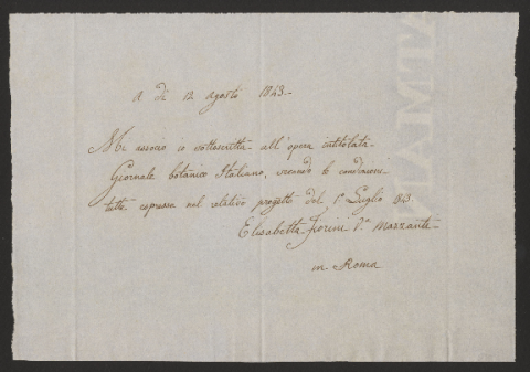 Anteprima dell'oggetto