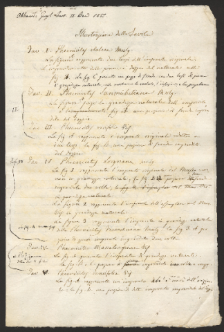 Anteprima dell'oggetto