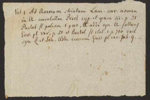 Anteprima dell'oggetto