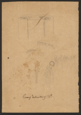 Anteprima dell'oggetto