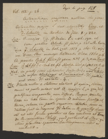 Anteprima dell'oggetto