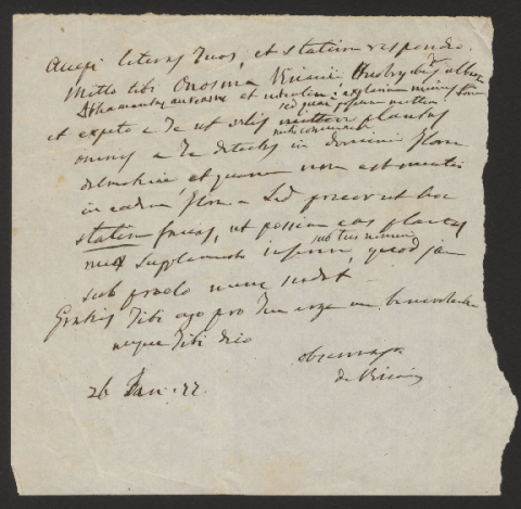 Anteprima dell'oggetto