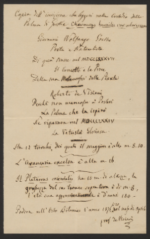 Anteprima dell'oggetto