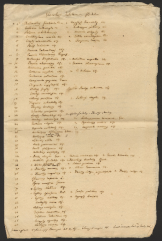 Anteprima dell'oggetto