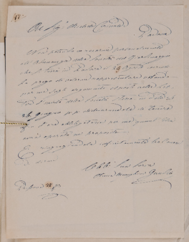 Anteprima dell'oggetto