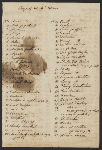 Anteprima dell'oggetto