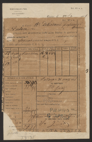 Anteprima dell'oggetto