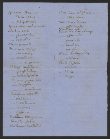 Anteprima dell'oggetto