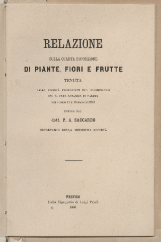 Anteprima dell'oggetto