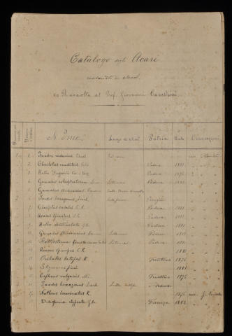 Anteprima dell'oggetto