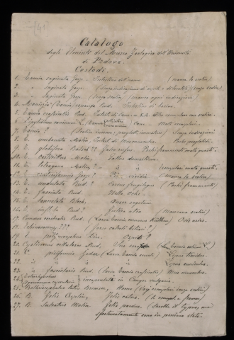 Anteprima dell'oggetto