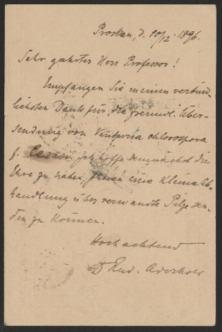 Anteprima dell'oggetto