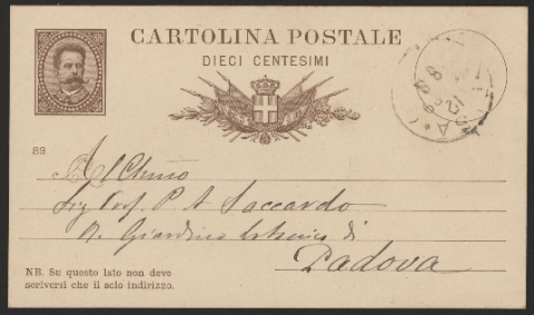 Anteprima dell'oggetto