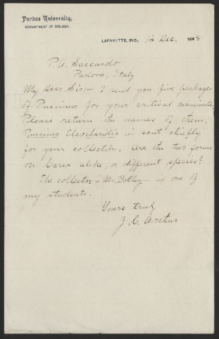 Anteprima dell'oggetto