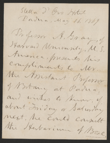 Anteprima dell'oggetto