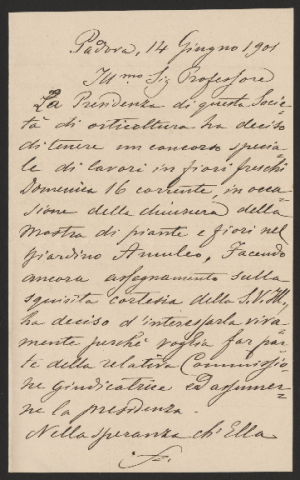 Anteprima dell'oggetto