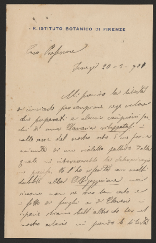 Anteprima dell'oggetto