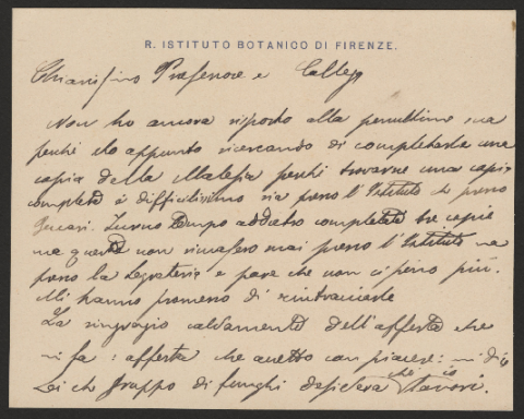 Anteprima dell'oggetto