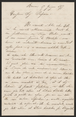 Anteprima dell'oggetto