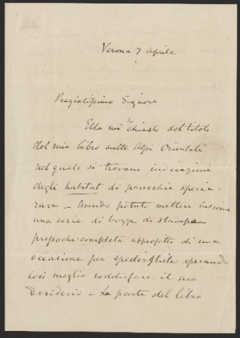 Anteprima dell'oggetto