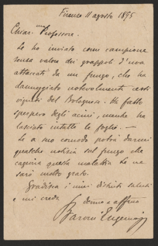 Anteprima dell'oggetto