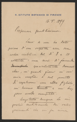 Anteprima dell'oggetto