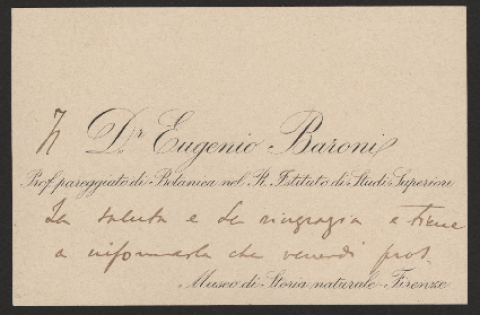 Anteprima dell'oggetto