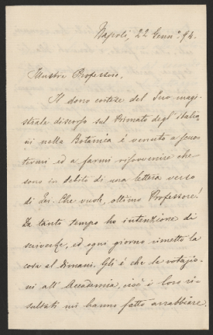 Anteprima dell'oggetto