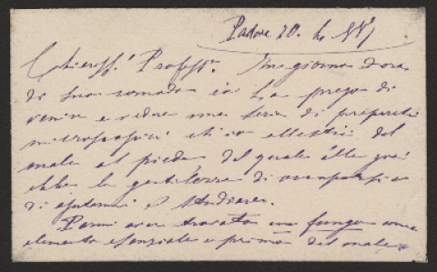 Anteprima dell'oggetto