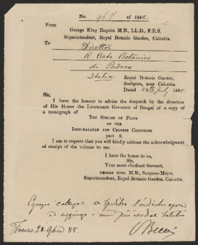 Anteprima dell'oggetto