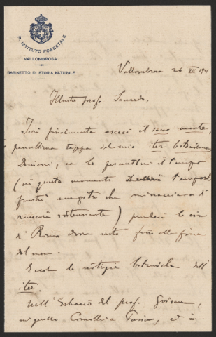 Anteprima dell'oggetto