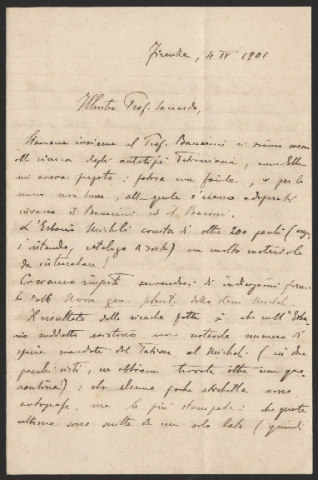 Anteprima dell'oggetto