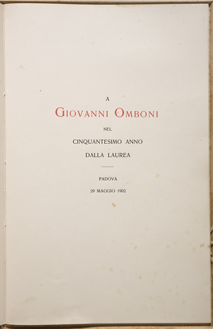 Anteprima dell'oggetto